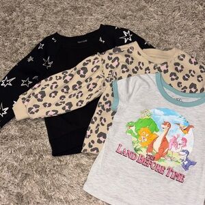 4T Bundle Sweatshirt Long Sleeve Dinosaur